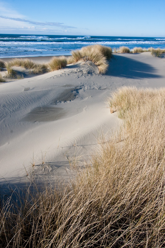 Dunes And Beach Grass
